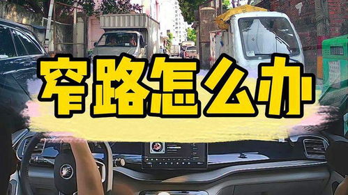 郴州汽车陪练价格多少